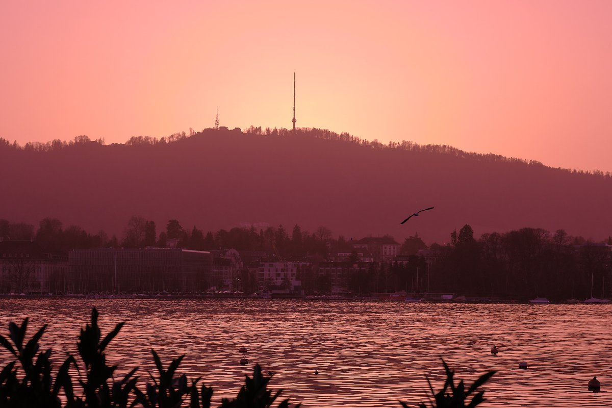 roman | asx (@__asx__) on Twitter photo 