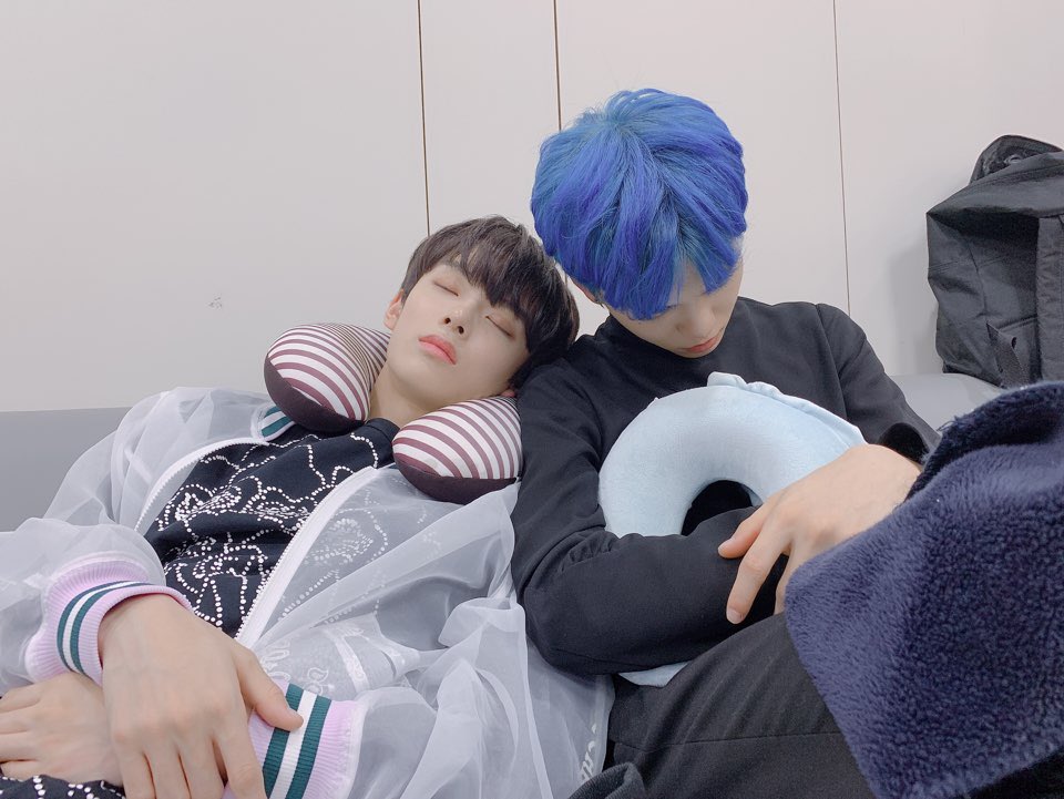 gyecats's tweet photo. zzzz https://t.co/HvjrYPmoOJ