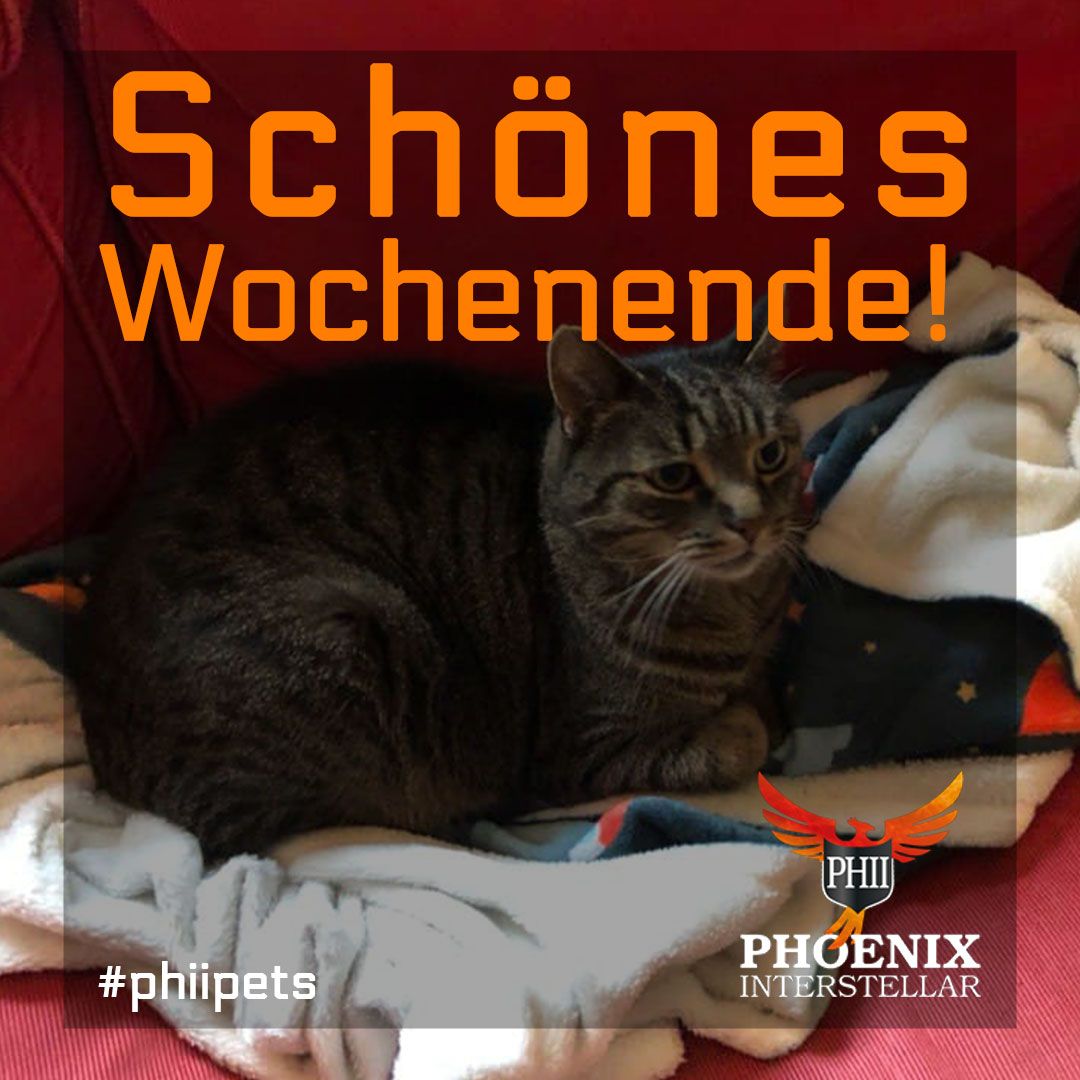 PHII42's tweet photo. Wir wünschen ein schönes Wochenende! #phiipets #phiianimals #phinimals #phii https://t.co/UN0O3dtr7c