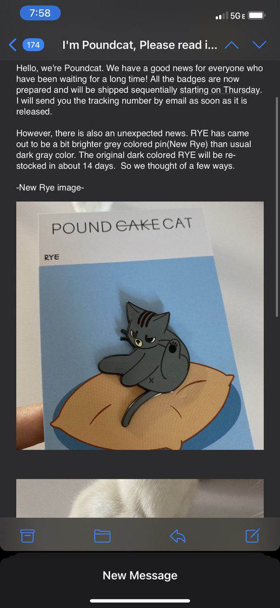HON3YRCHA's tweet photo. [forgot to update yesterday!]

But all poundcat GO pins are now ready and it’s almost time for shipping!! 

#Hon3yGOUpdates #GORcha https://t.co/KLGnUEpUAT