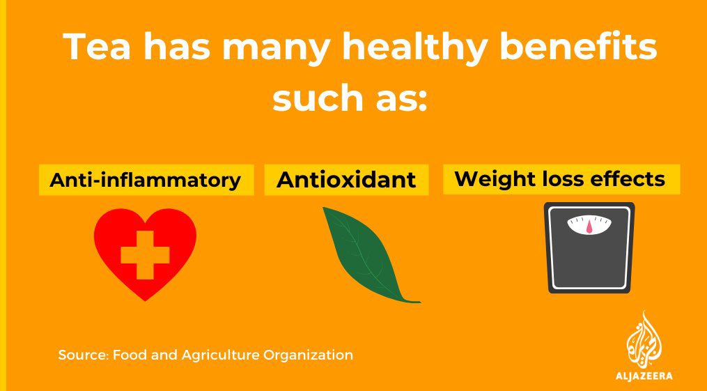 The_MaleBoss's tweet photo. Do you know that Tea has many healthy benefits including its anti-inflammatory &amp; antioxidant properties and weight loss effects? 

#InternationalTeaDay ☕ https://t.co/lHyX6ZLdsG