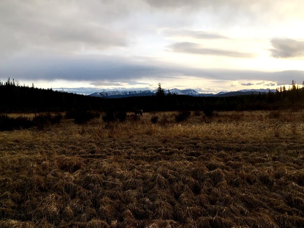 expansecottages's tweet photo. Nice little tour around town! 😊😊

#nordegg #nordegglife #nordeggalberta #nordeggadventures #cabinlife #dtcountry #explorealberta #getoutside #discoveralberta #discovercentralalberta #explorecentralalberta #mountainsarecalling #expansecottages #travelalberta #clearwatercounty https://t.co/gH0WvstGay