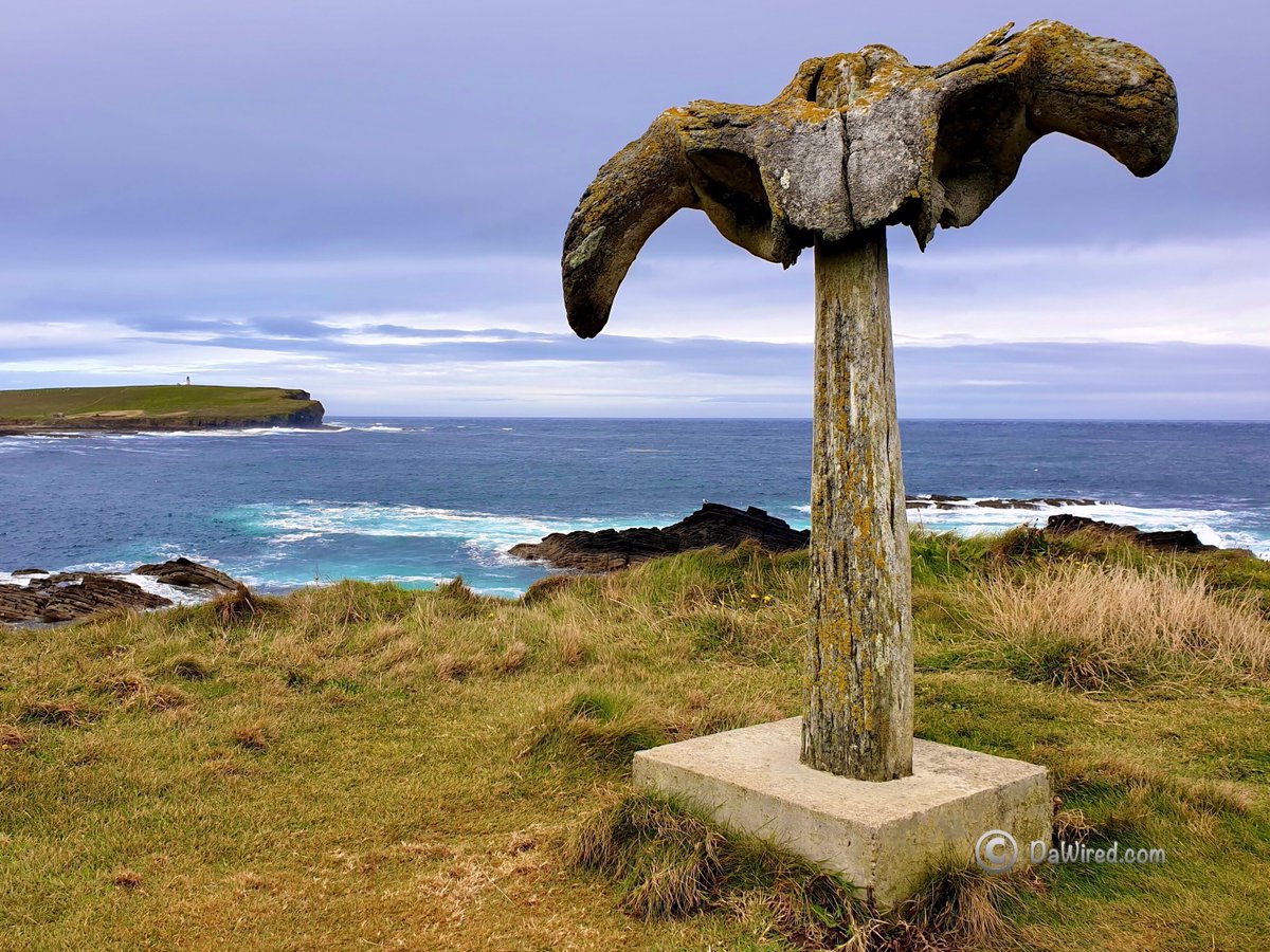 Dawired1's tweet photo. The mysterious whalebone sculpture with downcurved ‘wings’ that looks like an owl in flight. Have a good weekend all!

#ᴅᴀᴡɪʀᴇᴅ #ʙʟᴏɢɢᴇʀʟɪғᴇ #ᴅᴀᴡɪʀᴇᴅʟɪғᴇ #ᴘʜᴏᴛᴏɢʀᴀᴘʜʏ 

#ᴜᴋ #Scotland #ᴏʀᴋɴᴇʏ #ᴏʀᴋɴᴇʏɪsʟᴀɴᴅs 

#ᴛʜᴇᴡʜᴀʟᴇʙᴏɴᴇ https://t.co/d0YuXrvNia
