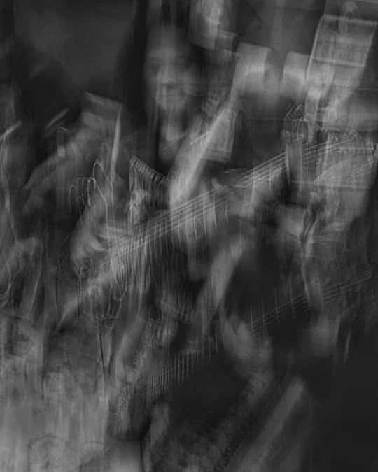 REPTON OFFICIAL tweet media