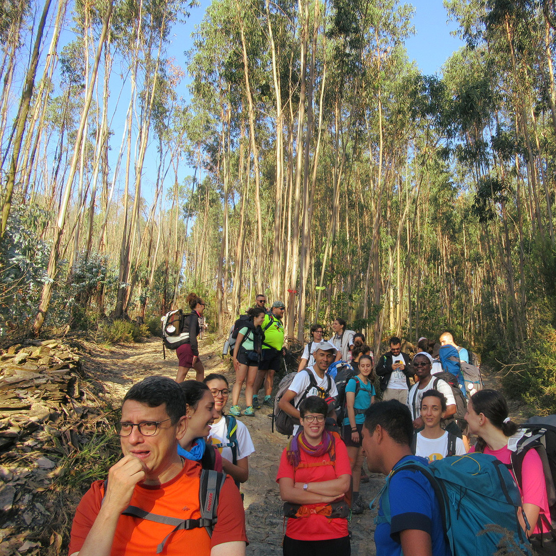 Pime Giovani tweet media