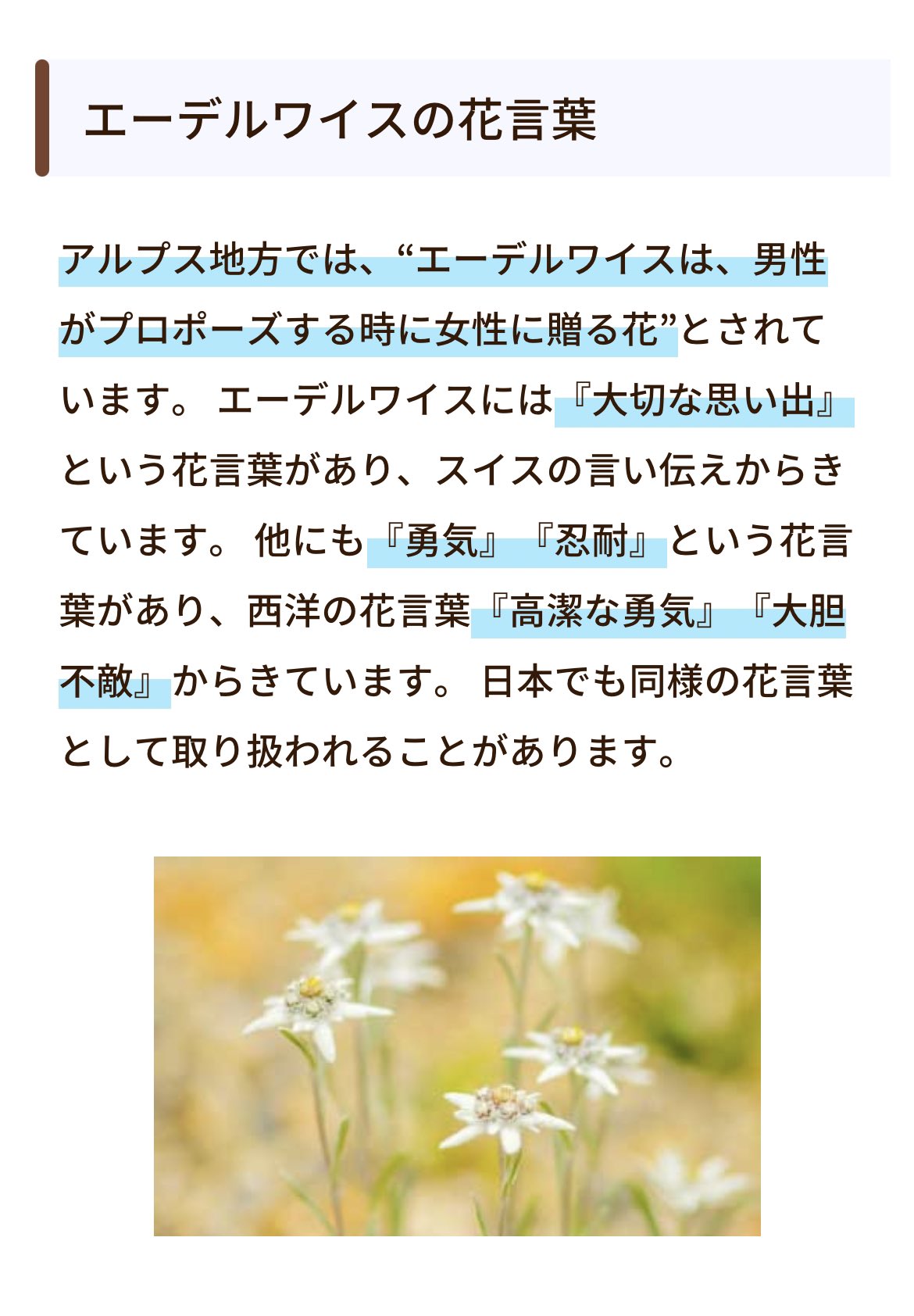みなみんご 新社会人のため浮上率低め Pale Blue の歌詞に出てくる エーデルワイス の花言葉 調べてたら 咲と紘一のことなんじゃないかと思ってしまって 米津玄師がそこまで考えて歌詞を書いたか分からないけれども とても オタクの心には