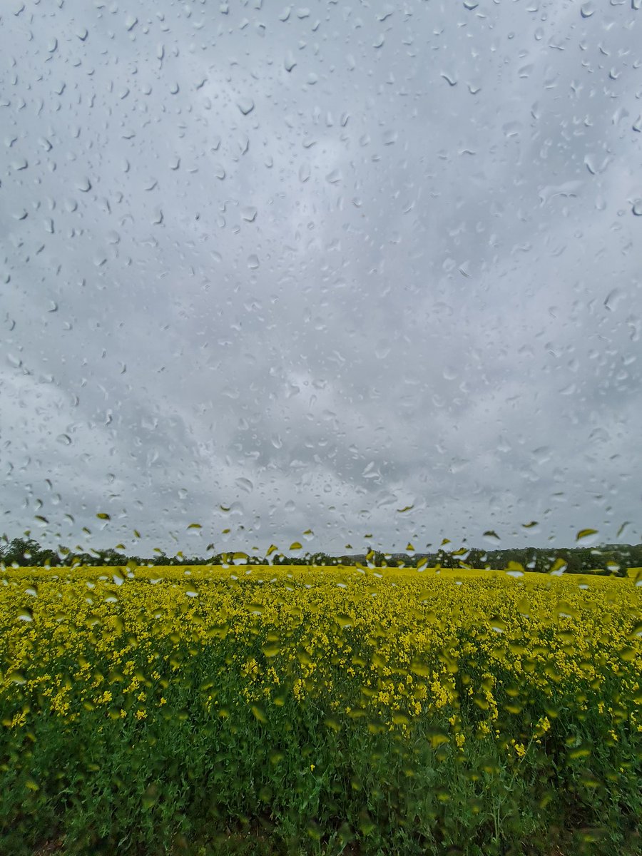 Sums up May #OSR