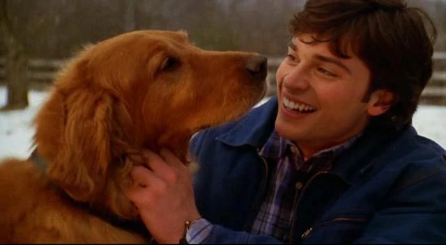 Back when #Krypto (not really) was in #Smallville.