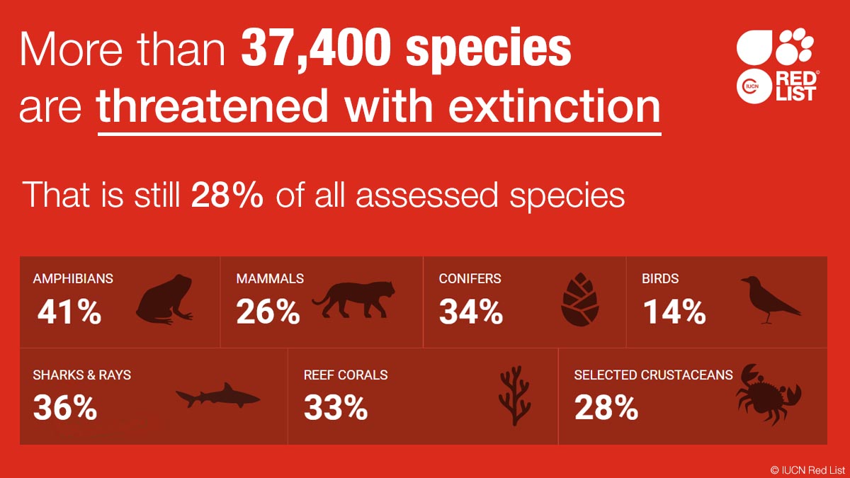 IUCN Red List on Twitter: 