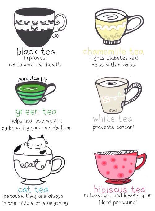 CCSleeves's tweet image. #tea #cats #teahumor #humor #funny