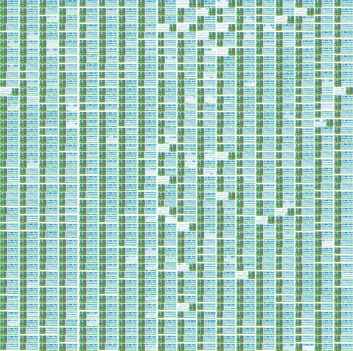 22 May is #BiodiversityDay!
 
The theme is "We're part of the solution #ForNature", underscoring that we can all be powerful agents of positive change for people and planet.

Create a logo to show the world that you’re part of the solution: 

➡️ bit.ly/3w8tuiM

#COP15