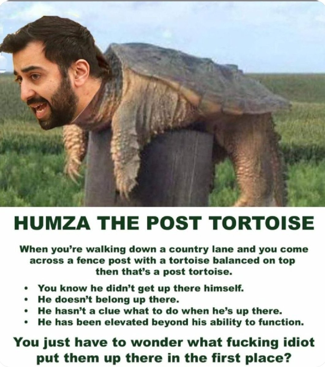 trublu_80's tweet image. Failed transport minister ✔
Failed justice minister ✔

The only thing he's been successful with during his political career &amp;amp; has mastered to a tee is causing more division &amp;amp; creating faux grievances..

A very dangerous individual...

Forget #ResignHumza it should be #SackHumza