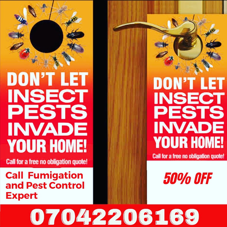 What's bugging you in your house or office? Contact us for an effective Integrated Pest Management today. 50% Off!

#pestcontrolservice #fumigationservices #lagosnigeria 
#hotelroom #school #office #public #hotel #sanitation #mosquitoes 
#Pests #hushpuppi #ArmyOfTheDead