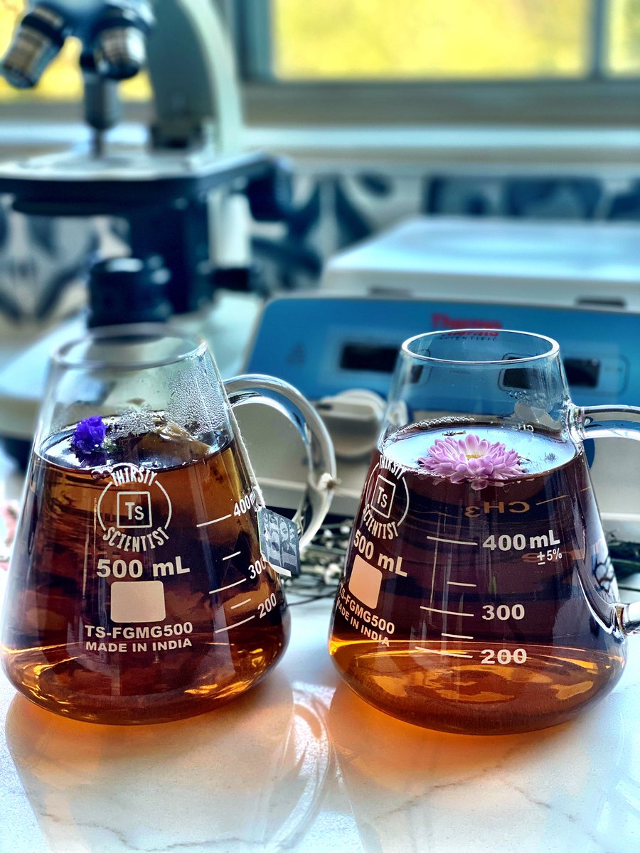 ThirstySci's tweet image. Friday Tranquili-TEA 💆🏻‍♀️💆🏻‍♂️
Provided to you by the TEA-rsty Flask Mug #tea #TeaLovers 
 #ThinkThirsy 💡