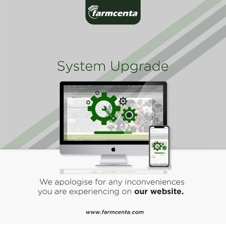 farmcenta's tweet photo. We want to sincerely apologies for the inconveniences you might have been experiencing for the past three days

Our customer care unit will be available to answer all your questions and put you through if you encounter any challenges.
 #farmcenta https://t.co/OLG97OEZTR
