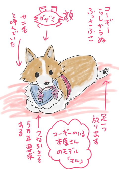 平成24年没なのでもう9年?
びっくりだわー。
亡くなってすぐはよく家のあちこちで
コギ尻が見えたんだよね…
そこにあって当然だったから
脳がビジョンを作るのだろうね… 