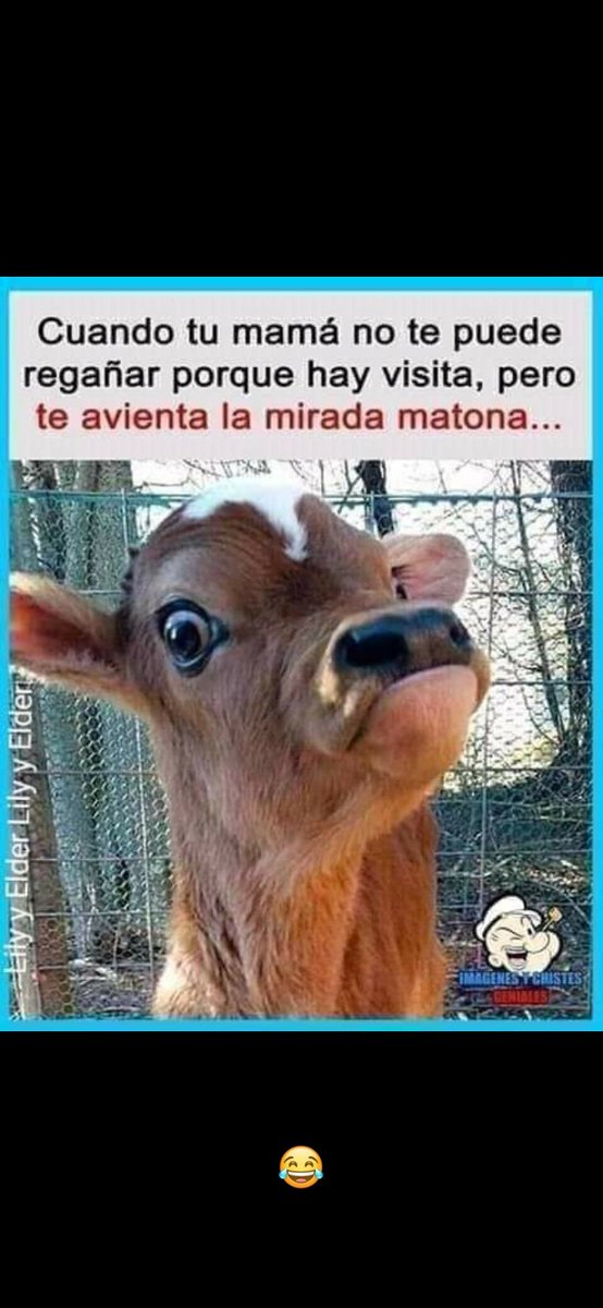 MtzXandro's tweet photo. JAJAJA Mi jefesita hermosa😂😂
#motherandom
#Memes #onlifans https://t.co/vqTkLkWugn