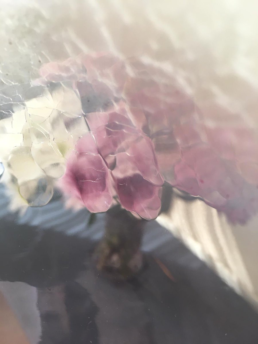 NThardmanshouse's tweet photo. Our #HardmansUnpacked archivist Lindsey experimented by taking a photo of "a bunch of flowers through a cracked glass vase to make the flowers look like they are painted. At least that what it looks like in my head!"
Pretty cool, eh? #LightNight2021 https://t.co/iJsckZYvaL