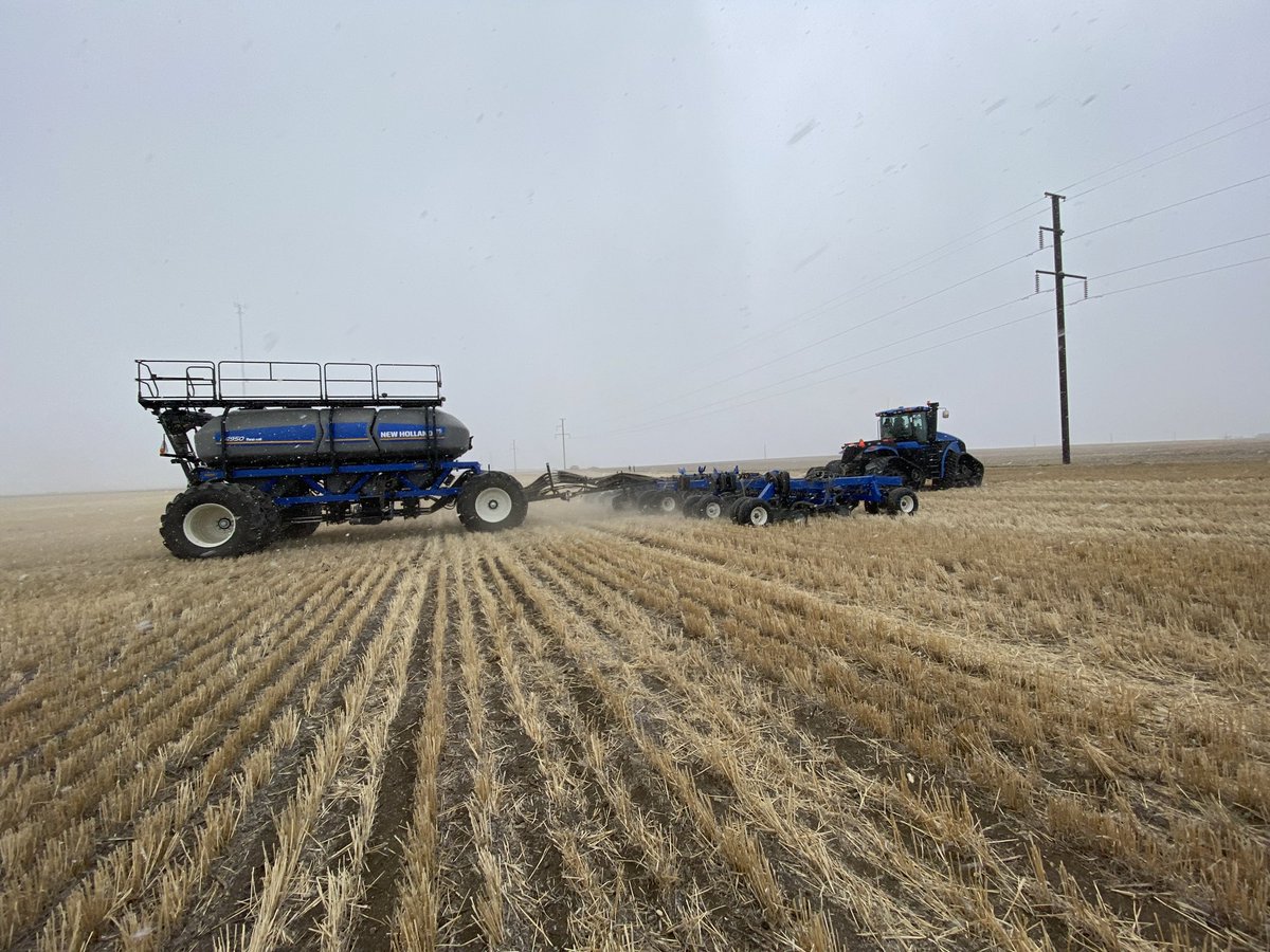 mac_timm's tweet photo. A chilly morning yesterday! The Kindersley #InVigor Demonstration Strip Trial (DST) is in the ground and conveniently, only half a mile north of Boston Pizza. 
A great InVigor lineup to check out this summer! @BASFAgSolutions https://t.co/WlJtrhZGJ9