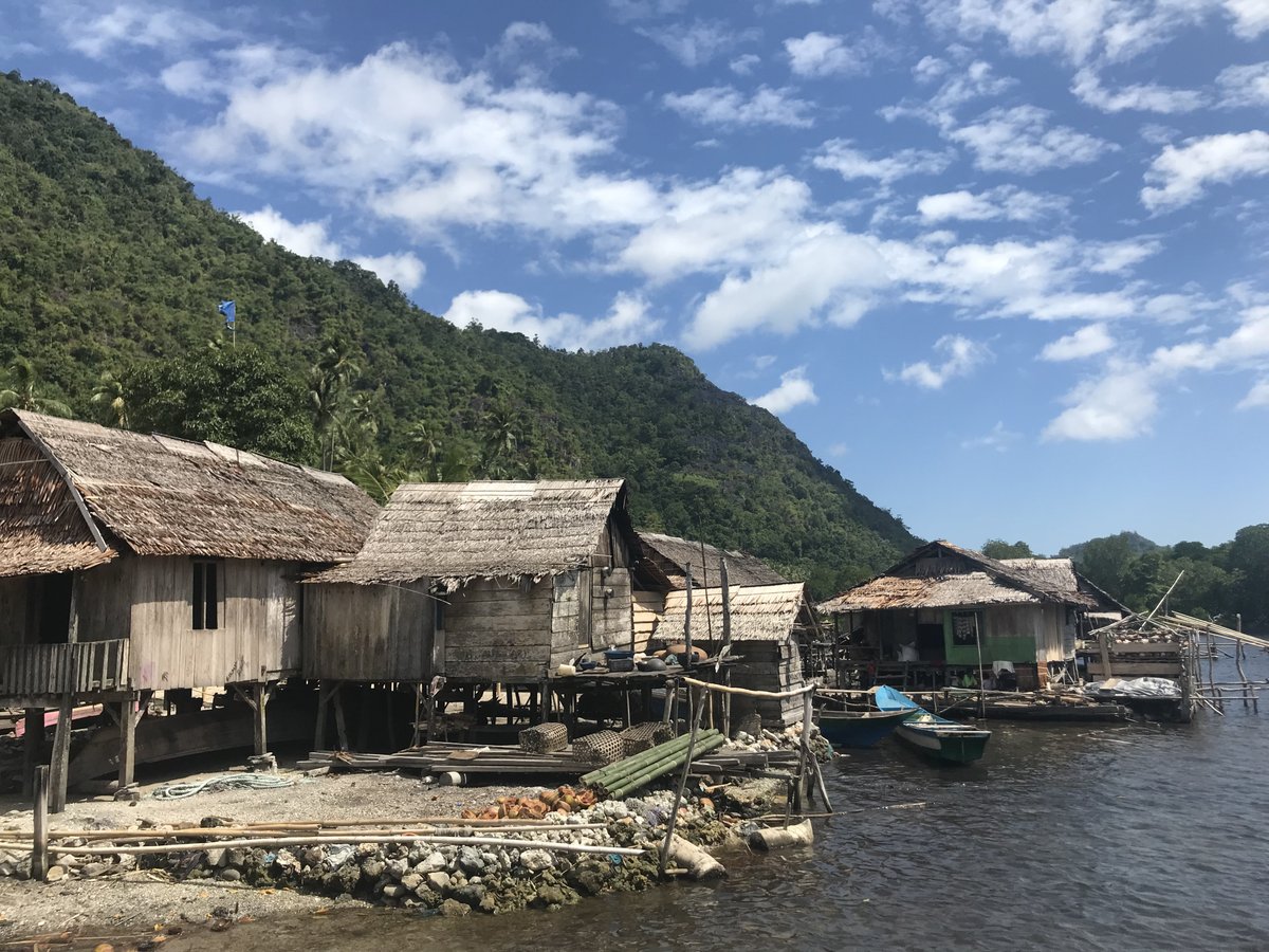 For #BiodiversityDay, we are thinking of our friends and colleagues in #Maluku, #Indonesia, where efforts to conserve endemic species involve strengthening customary institutions, collaborative networks, and pathways to prosperity #vibrantforestlandscapes