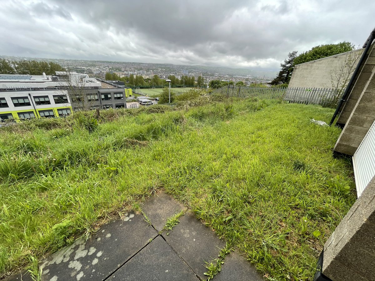 rocblackpool's tweet photo. Excellent road trip today with Calvin to meet Pam, our ROC action group leader over in Bradford &amp; Josiah from Rooted In 😃

On the 3rd June we are planning to help turn an overgrown space into a ‘well-being’ garden 🪴supporting Tony and his incredible boxing club for young people https://t.co/R29GOu9adz