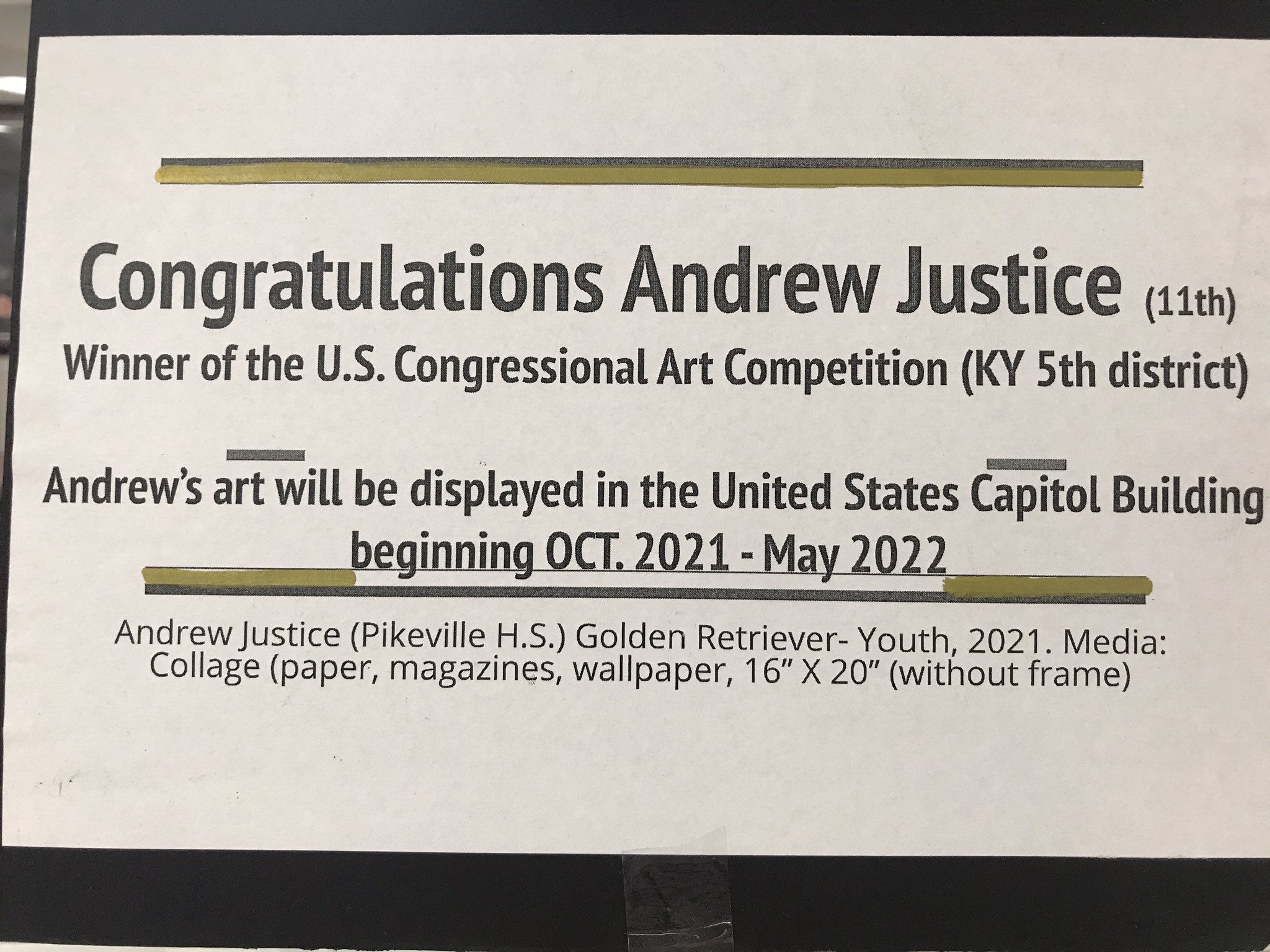 congressional art competition 2021 winners florida