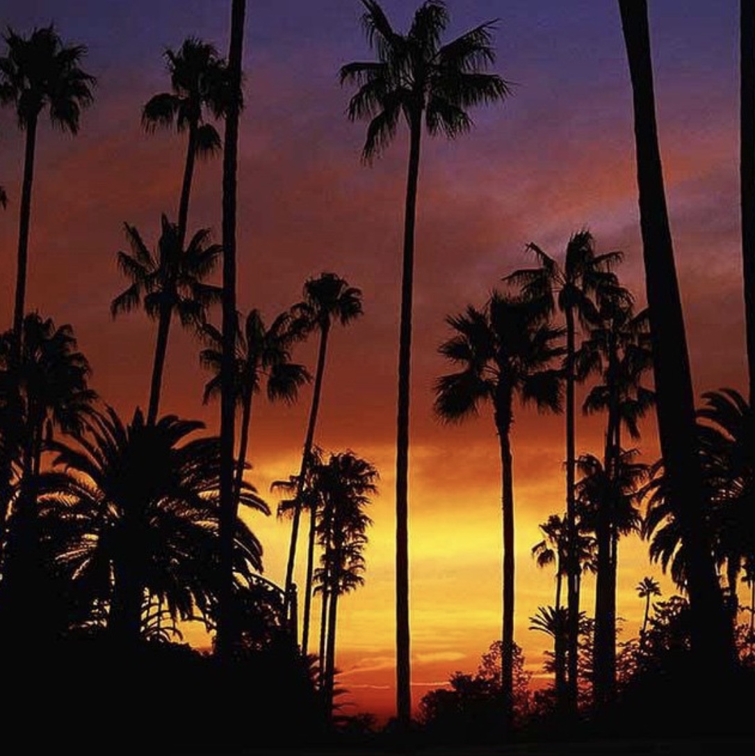 sandsofluxury's tweet image. Experience a Caribbean sunset like no other!