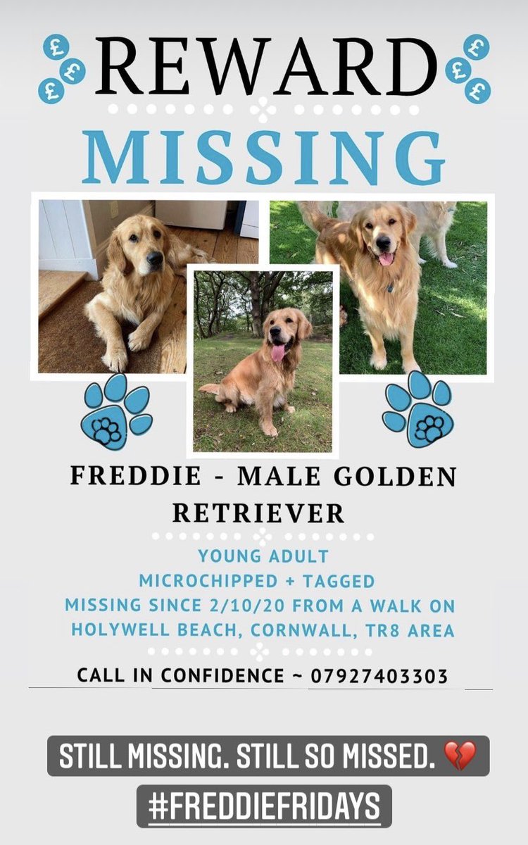 This breaks our hearts so much. Poor Freddie has been lost for a little while now. Can’t even imagine. If you live in the area.....please look out for him. 😢❤️🐾 #findfreddie #dogsoftwitter #goldenretriever #lostdog