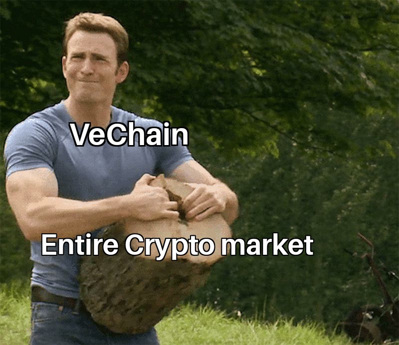 _MDKhalid_'s tweet photo. @TheCryptoBomber @vechainofficial @sunshinelu24 @CREAMethod @PeterZh47977516 We tried to trend #VeDaddies 😉 https://t.co/Anzzs0l18b