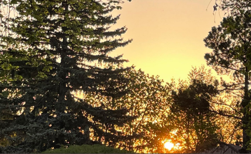 armysunsets's tweet photo. I guess everyone is understandably too busy listening to Butter to share their #ARMYsunset today, so here's the perfect buttery view of Jimin's 9350th sunset from Canada on Tuesday! 🇨🇦🌇🧈#Jiminsunset9350 #HappyButterDay 💜@BTS_twt https://t.co/x3IXaLrF3e