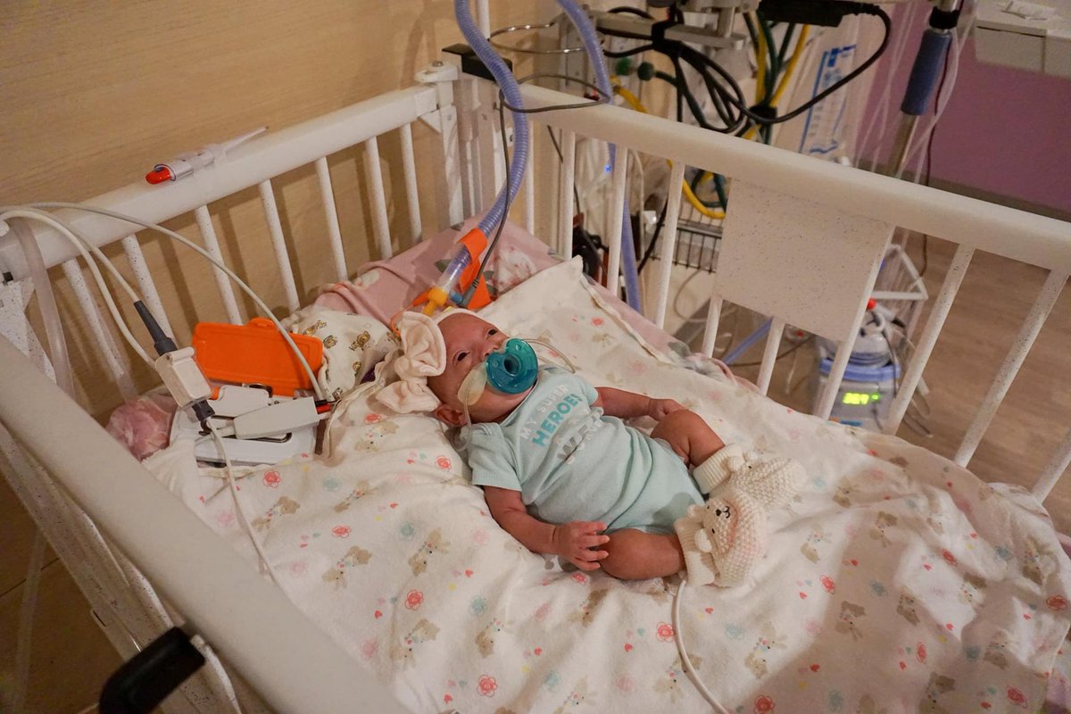 SWFLChildrens's tweet photo. ‘Miracle Baby’ is Doing Great at Golisano Children’s Hospital of Southwest Florida!

Read more: https://t.co/ynUhy1pD52 https://t.co/qmqpbB1QTQ