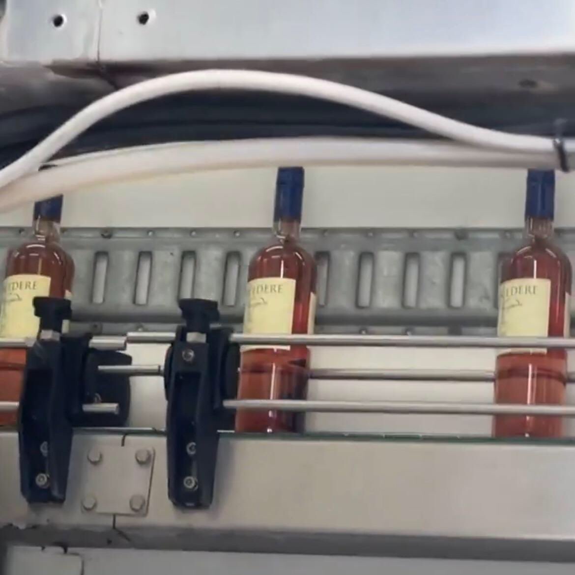 2020 Rose Released
A new vintage of our famous Rose is on the shelf. It makes a beautiful patio or poolside sipper for a day like today! Limited quantities, only 260 cases produced. Similar to previous vintages, it is sure to sell out quickly. Cheers!