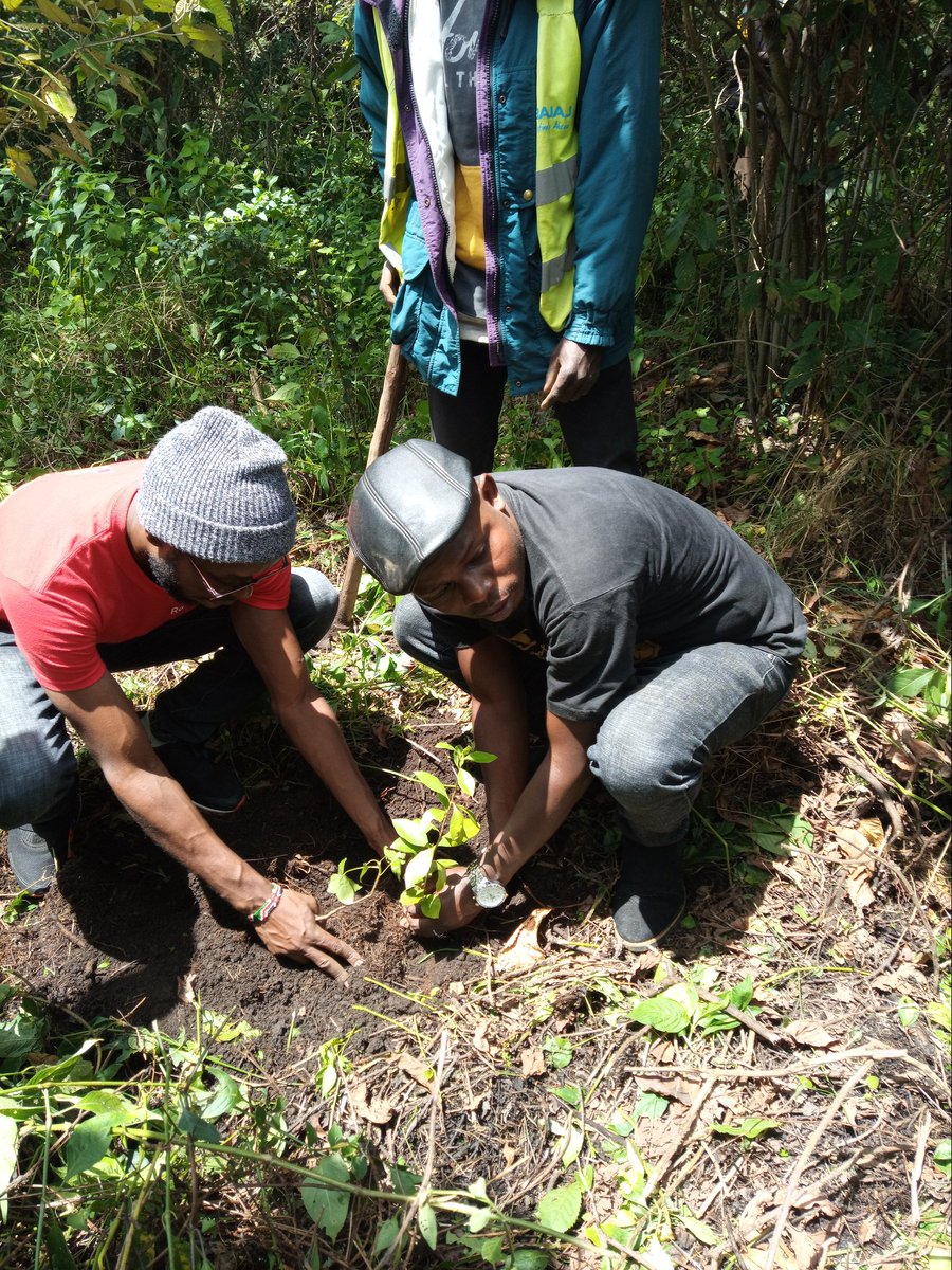 Rac_Naivasha's tweet photo. We joined the Rotary Club of Naivasha and other Rotary clubs to plant more than 3000 trees at Eburru Forest.
#SupportingTheEnvironment
#PeopleOfAction https://t.co/In8bTqeXEX