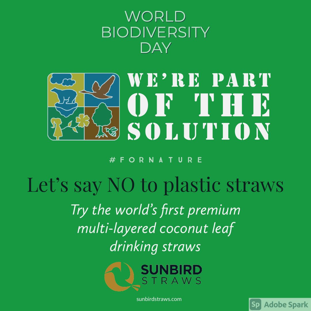 Sunbird Straws tweet media