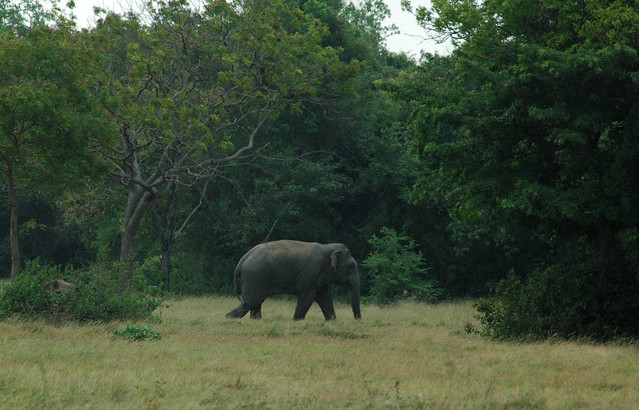 Hartos de la inacción, los jóvenes lanzan frontal campaña por la biodiversidad ipsnoticias.net/2021/05/hartos… via <a href="/CambioClimMX/">Cambio Climático MX</a>