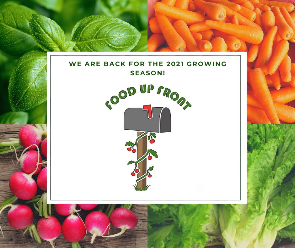 Food Up Food is back for the 2021 season! Click the link and start growing your own food. Join us 👇app.mlsend.com/b7o9d4/
Food Up Front is a <a href="/transitionTO/">Transition Toronto</a> project
transitiontoronto.org/food-up-front
