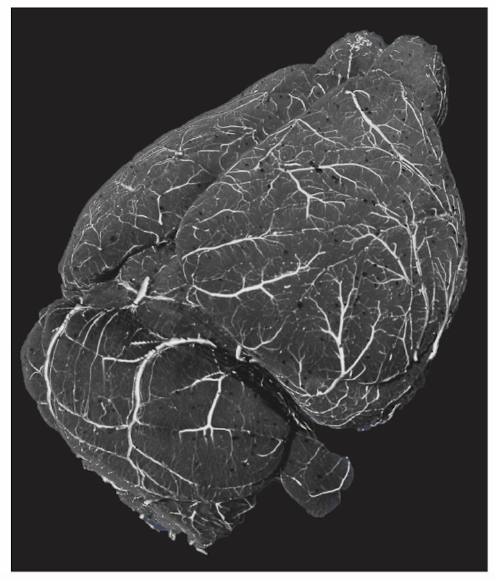 yongsookimlab tweet media