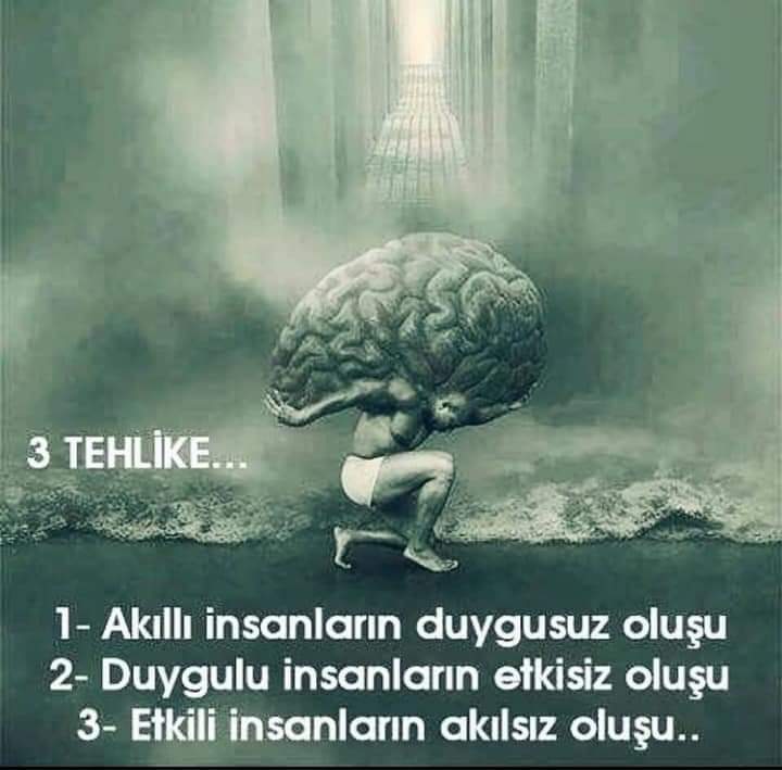 Hatice Güreş (@gures_hatice) on Twitter photo 