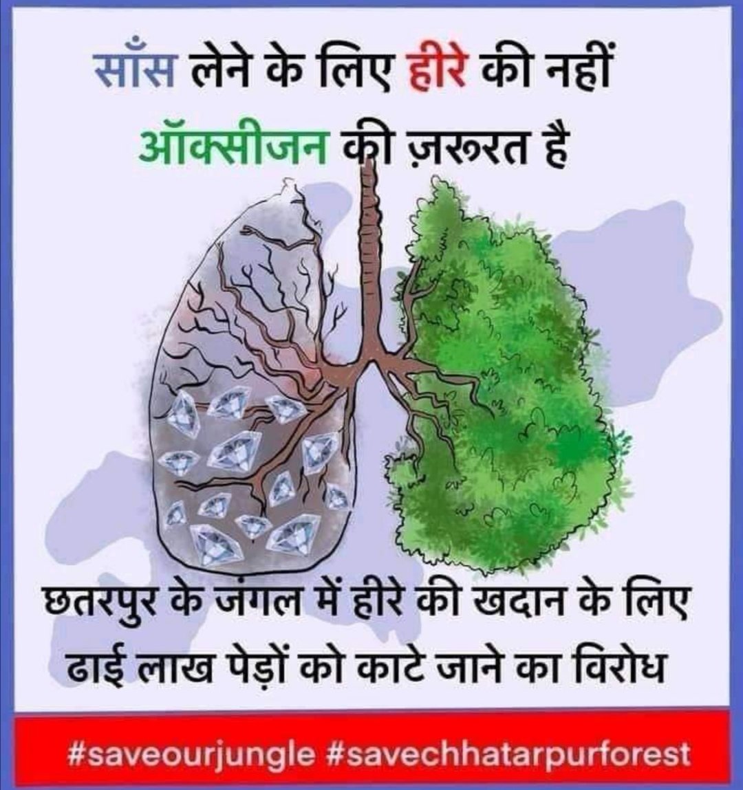 हम मध्य प्रदेश के #छतरपुर जिले के #बकस्वाहा_जंगल के पेड़ काटे जाने का विरोध करते है हमारे लिए तो यही पेड़ बहुमूल्य हीरे है। सरकार से निवेदन है इस प्रोजेक्ट को रदद करे #Shivrajsinghchauhan #narendramodi_primeminister  #Ministryofforestandenvironment #Savetreesavelife