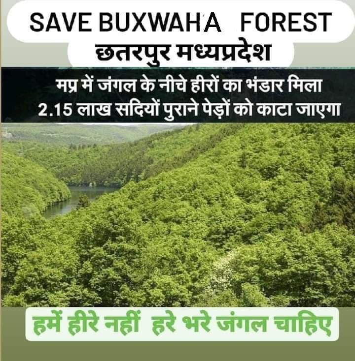chetanmanmode's tweet photo. Cost of this Diamond
Our future generations will pay!
In greed of some royalty from mining companies...you can't sell our future. Share it with more people.
@ChouhanShivraj @PMOIndia
#SaveBuxwahaForest
#stopdeforestration #SaveOurJungle #savechhatarpurForest 
#forest #PlantTrees https://t.co/c6E46eo4fE