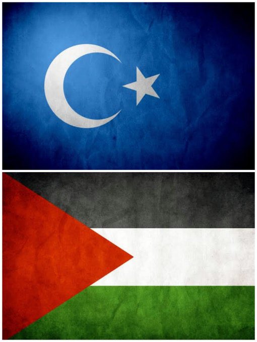 Ey Allah’ın kulları! Kardeş olun.!

                  Şura/14
          #FilistinKazanıyor
            #فلسطين_تنتصر
            #HearTürkistan