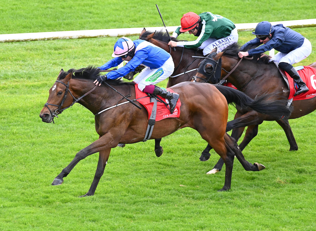 Stack_Racing's tweet image. Can’thelpfallin Gets Off The Mark At Cork... bit.ly/346aFRi #StackRacing