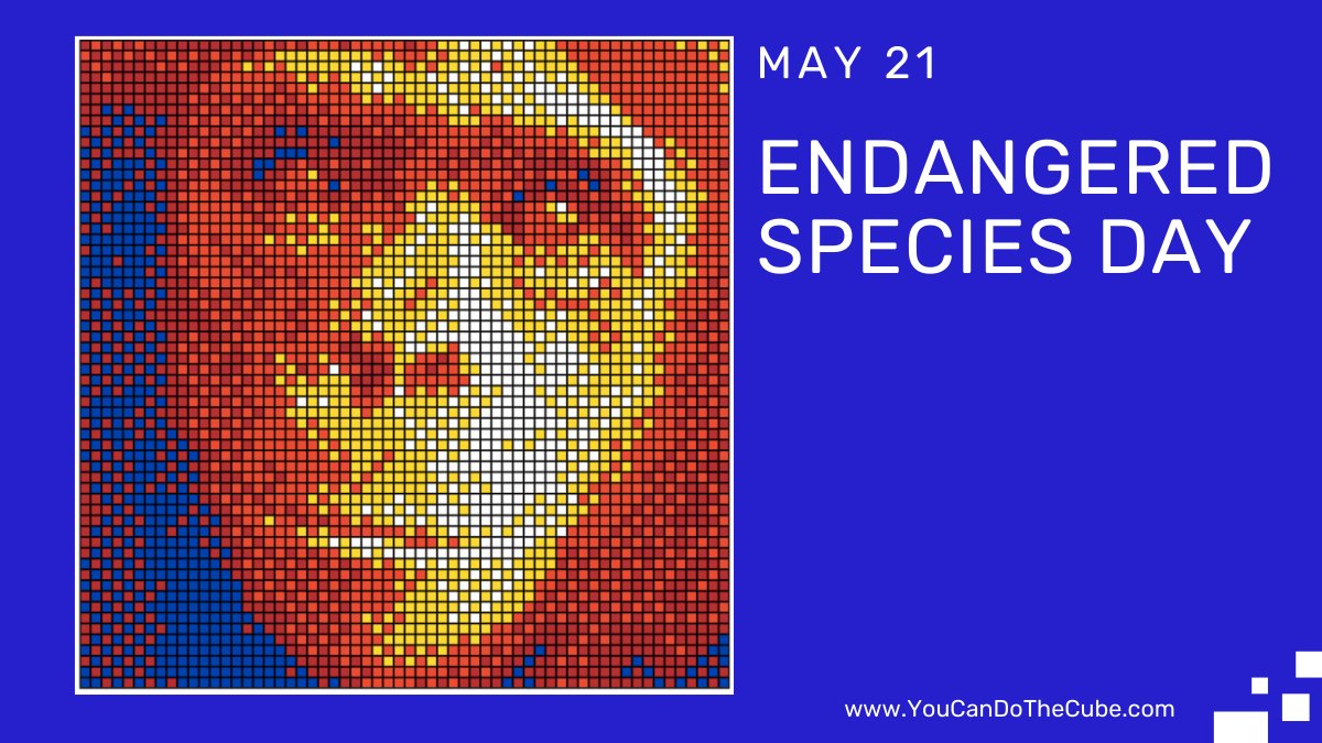 On #EndangeredSpeciesDay, learn about how to protect animals, like the Chimpanzee, so a mosaic won't be the only way to see them in the future. The Chimpanzee is one of many #EndangeredSpecies you can create as a Rubik's Cube mosaic. Templates at ow.ly/thWL50EDEEl
