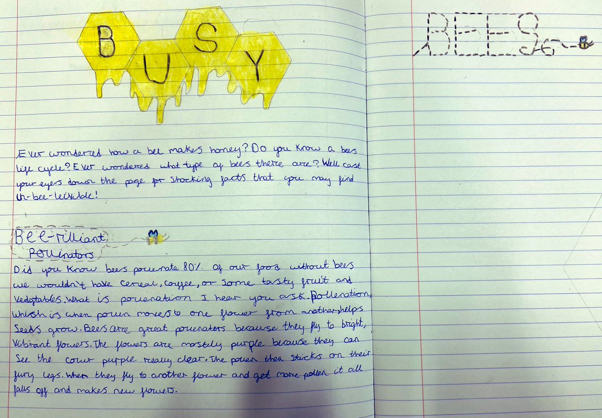 LliswerryPrim's tweet photo. #4KD super effort when starting our bee reports today...we canโt wait to continue them next week! https://t.co/UFi1NlLcsm