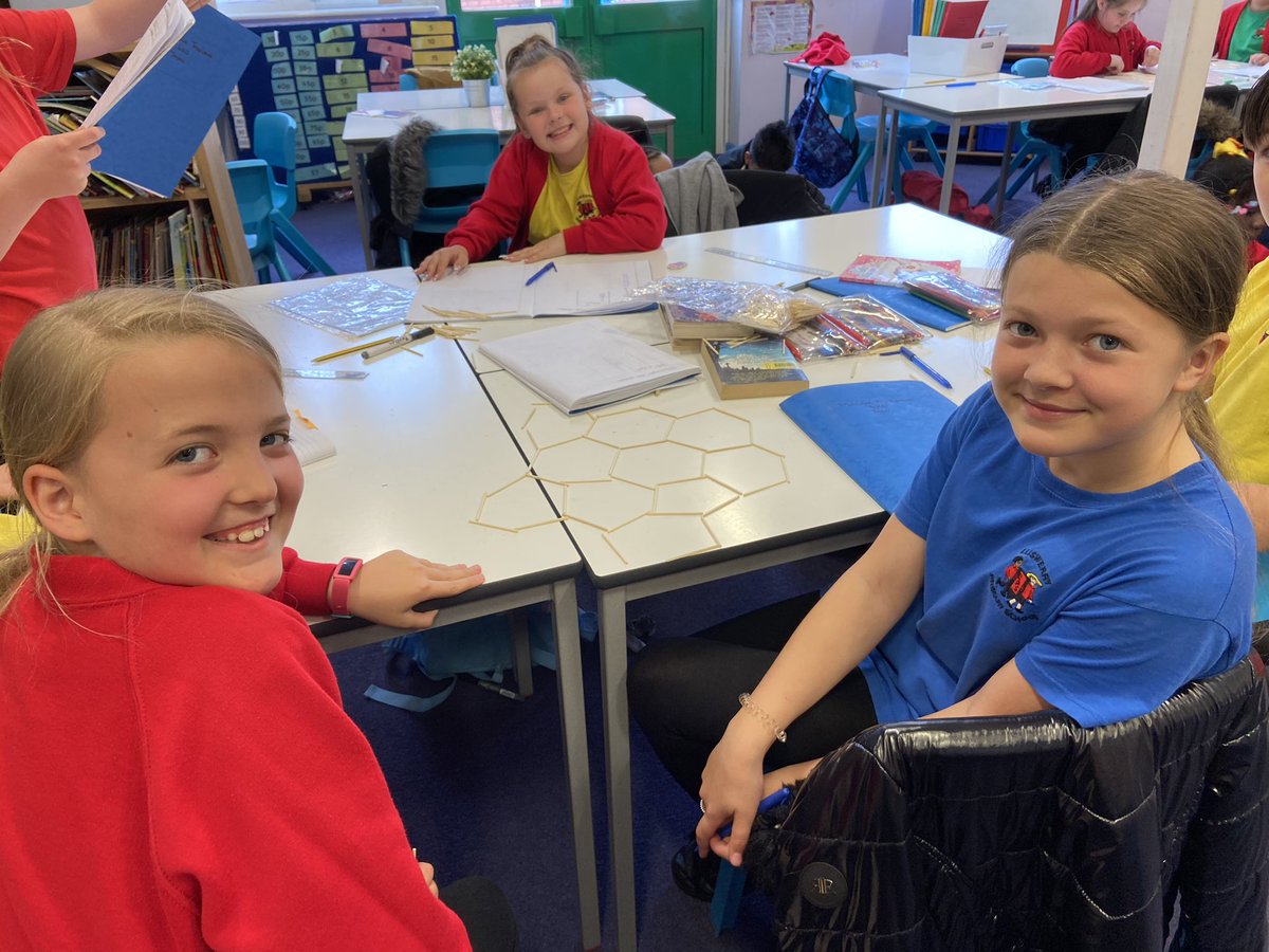 LliswerryPrim's tweet photo. #4KD loved investigating using tessellation today! https://t.co/VQ3XqPUhBI