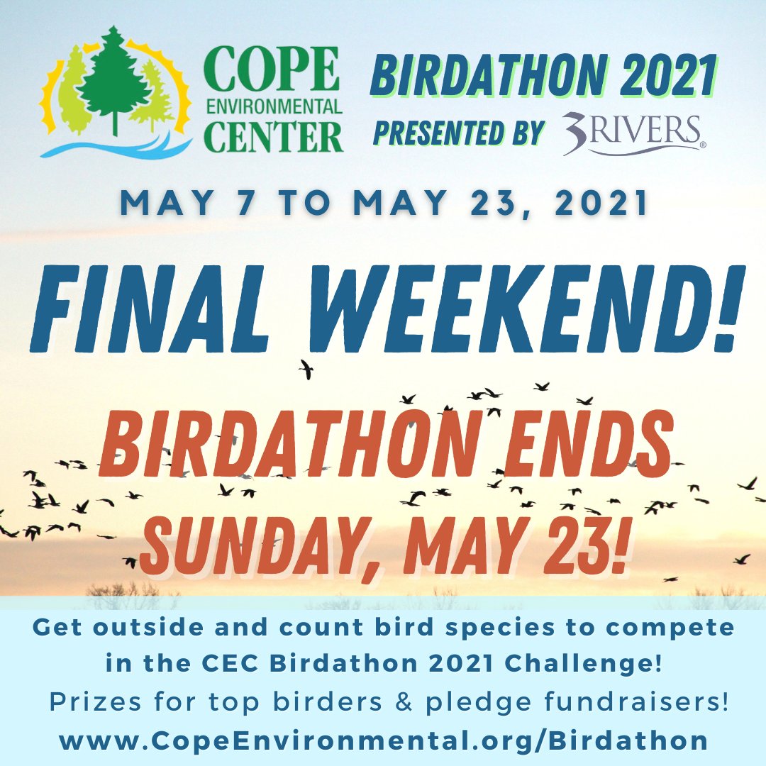 Cope Environmental tweet media