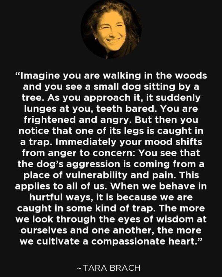 Someone shared this with me this week. It helps changing our mindset when interacting with others. There are always reasons (#conscious/#unconscious) why and how we or others react #BeKindAlways #interpersonaldynamics #compassion