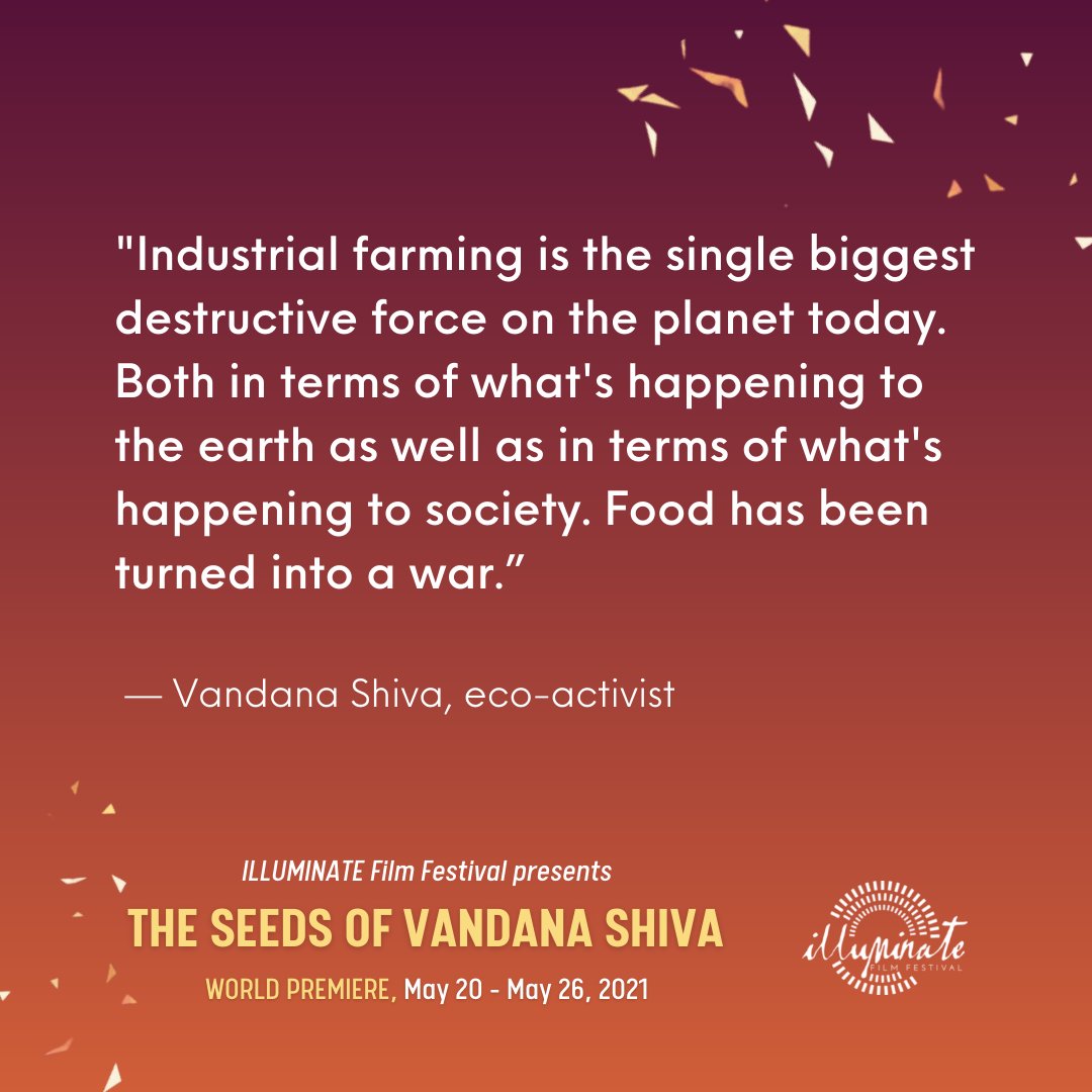 StartAtZeroDoc's tweet photo. RT @ILLUMINATE_FF: “Industrial farming is the single biggest destructive force on the planet today.” — @drvandanashiva

World Premiere of Seeds of Vandana Shiva @BecketFilms, May 20-26 Tickets: https://t.co/yfqXubJs4a #foodsystems #foodsecurity  https://t.co/7UDvbmjTDE