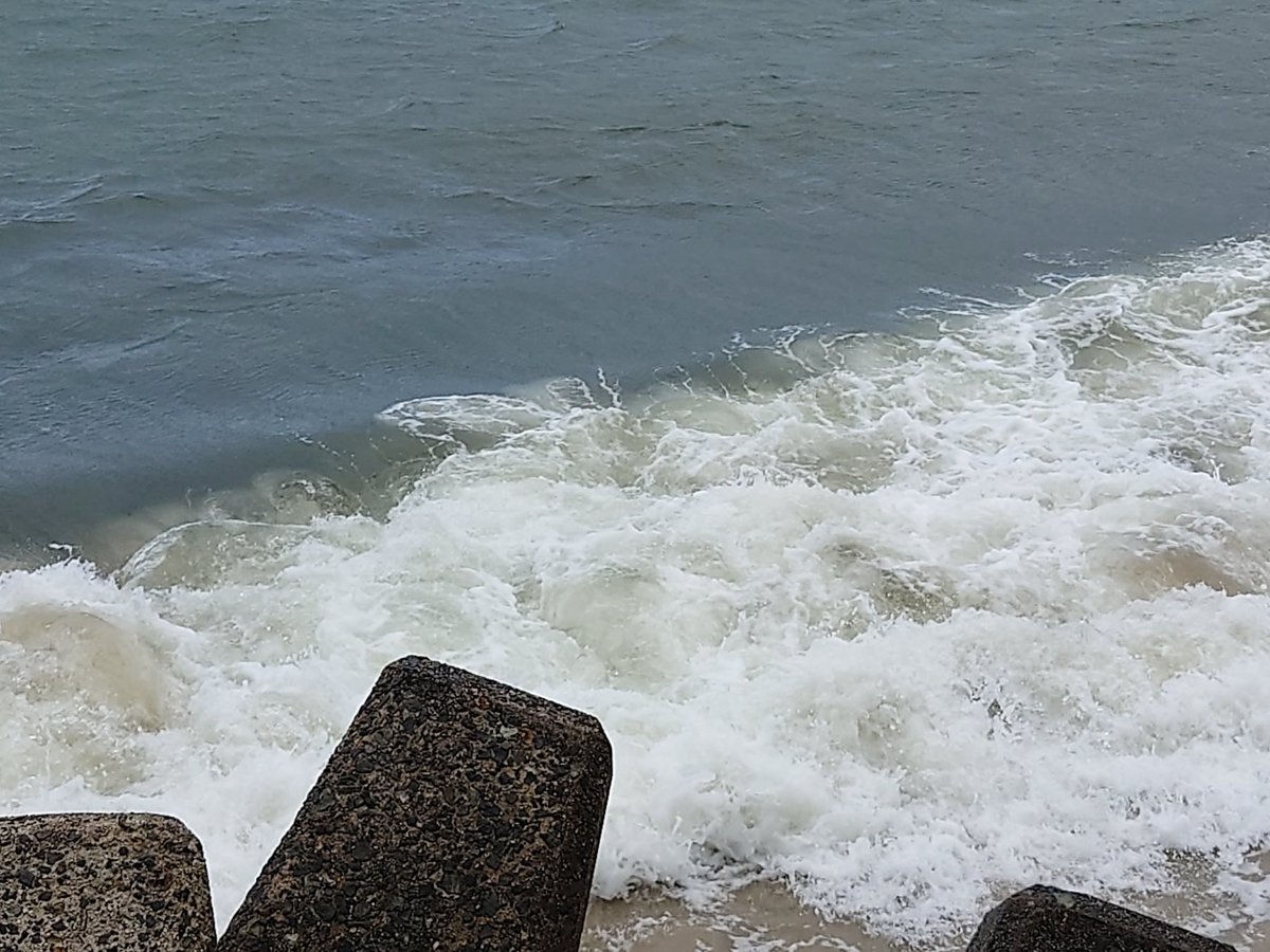 ミツバツツジ花言葉抑制のきいた生活