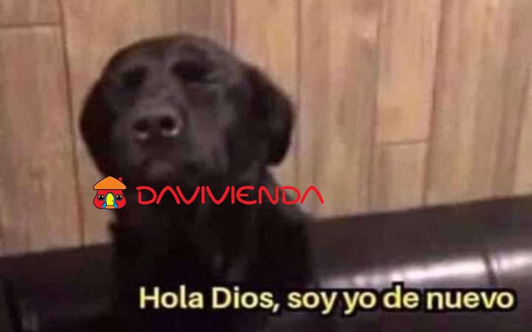 Rep_Economica's tweet photo. @Davivienda  pensando que las cosas se van a poner ��🔥🔥🔥🔥🤣🤣

#HumorEconomico https://t.co/fsQhoatw7d